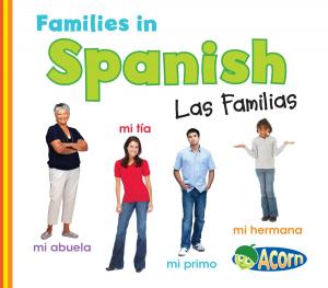 Cover of the book Families in Spanish: Las Familias by Steve Brezenoff