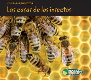 Book cover of Las casas de los insectos