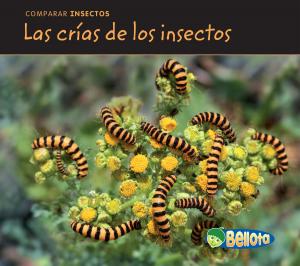 Cover of the book Las crías de los insectos by Fran Manushkin