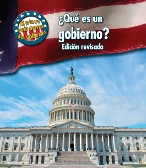 Book cover of ¿Qué es un gobierno?