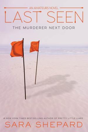 bigCover of the book The Amateurs, Book 3: Last Seen by 