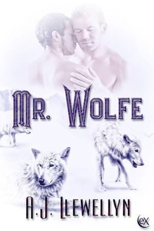 Cover of the book Mr. Wolfe by Tessa Brookfield