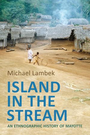 Cover of the book Island in the Stream by Donald Nightingale