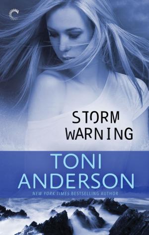 Cover of the book Storm Warning by Christine d'Abo