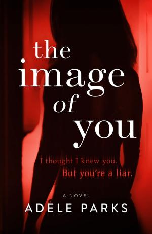Cover of the book The Image of You by Robyn Carr