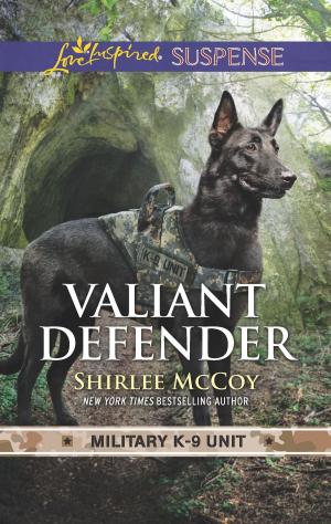 Cover of the book Valiant Defender by Janet McNaughton