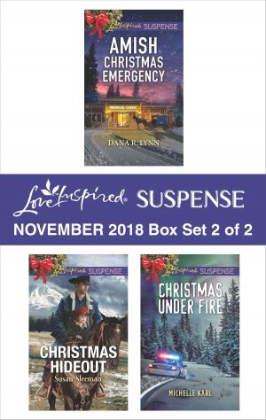 Cover of the book Harlequin Love Inspired Suspense November 2018 - Box Set 2 of 2 by Marie Donovan