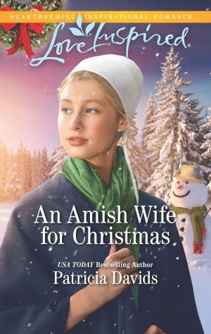 Cover of the book An Amish Wife for Christmas by Rebecca Winters, Fiona Lowe, Raye Morgan