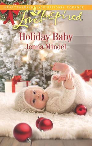 Cover of the book Holiday Baby by Susan Ann Wall