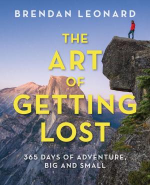 Cover of the book The Art of Getting Lost by Martin Freed, Vaskys Ruta