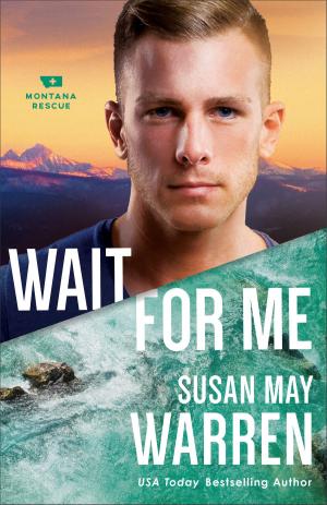 Cover of the book Wait for Me (Montana Rescue Book #6) by Melissa Jagears