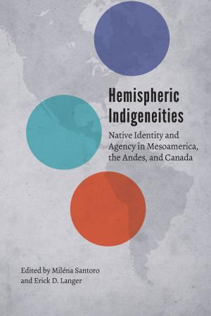 Cover of Hemispheric Indigeneities