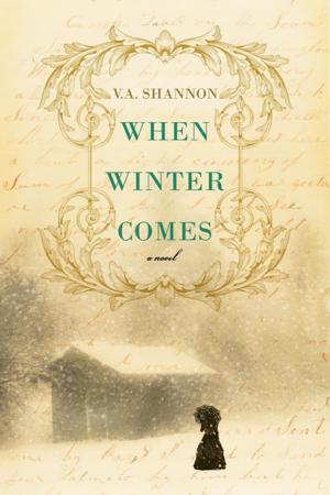 bigCover of the book When Winter Comes by 