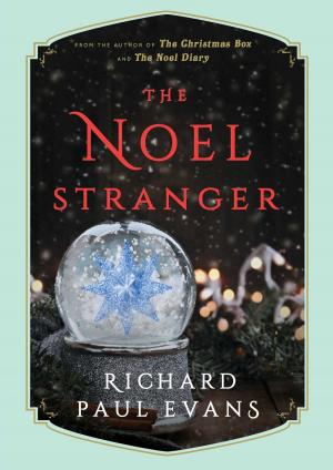 Book cover of The Noel Stranger