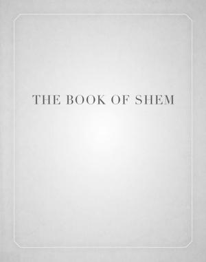 Cover of the book The Book of Shem by Geoffroy de Lagasnerie