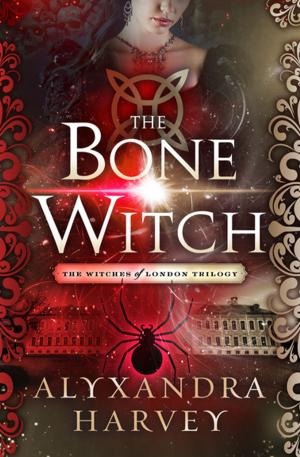 Cover of the book The Bone Witch by David Lipsky