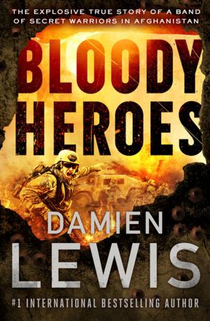 Cover of the book Bloody Heroes by Stanley Elkin