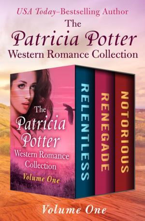 Book cover of The Patricia Potter Western Romance Collection Volume One