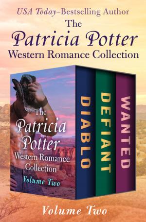 Book cover of The Patricia Potter Western Romance Collection Volume Two