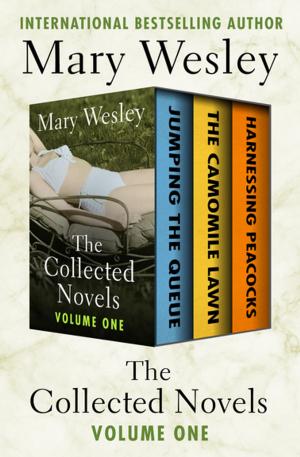 Cover of the book The Collected Novels Volume One by Geoffrey Household