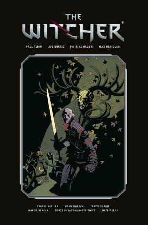 Cover of the book The Witcher Library Edition Volume 1 by Konietzko Dimartino, Bryan Konietzko