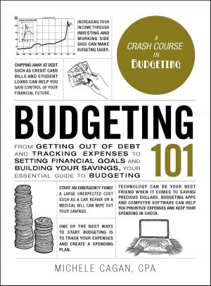 Book cover of Budgeting 101