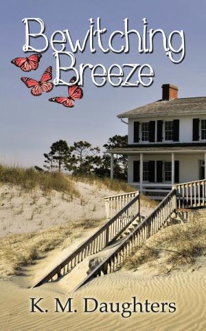 Cover of the book Bewitching Breeze by Ilona  Fridl