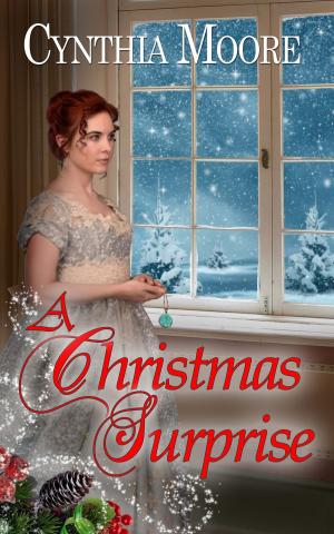 Cover of the book A Christmas Surprise by J. C. McKenzie