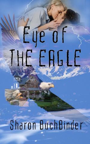 Cover of the book Eye of the Eagle by Kat  Green
