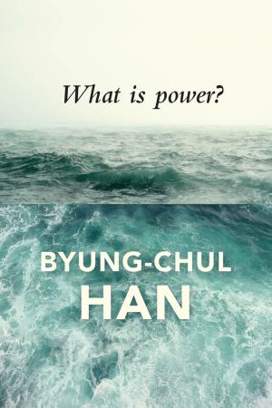 Cover of the book What is Power? by Brian Clifton