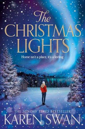 Cover of the book The Christmas Lights by Hilary McKay