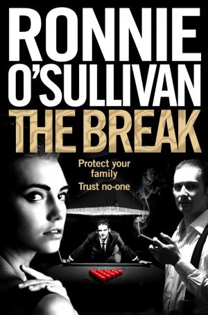 Book cover of The Break