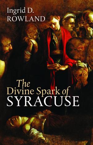 Cover of the book The Divine Spark of Syracuse by Susan M. Weiss, Netty C. Gross-Horowitz