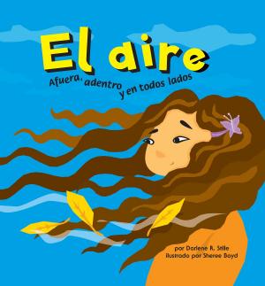 Cover of the book El aire by Cari M Meister