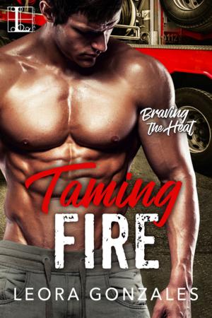 Cover of the book Taming Fire by Roxanne Smith