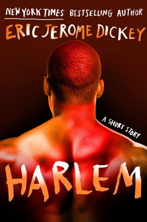 bigCover of the book Harlem by 