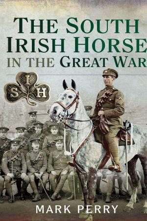 Cover of the book The South Irish Horse in the Great War by J D Brown