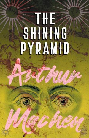 Cover of the book The Shining Pyramid by D. A. Russell