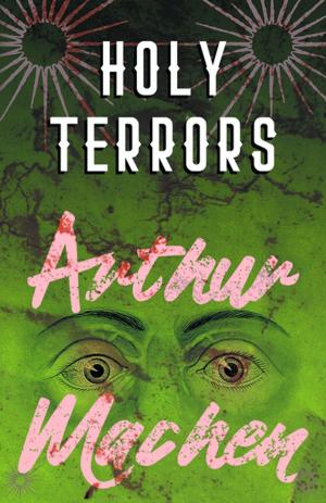Cover of the book Holy Terrors by Stratton Julius Adams
