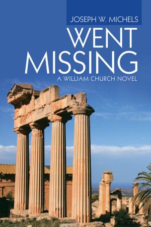 Cover of the book Went Missing by Douglas L. Laubach