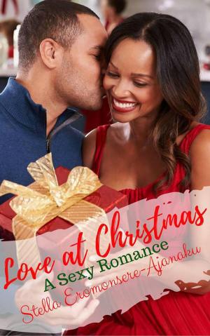 Cover of the book Love at Christmas ~ A Sexy Romance by Stella Eromonsere-Ajanaku