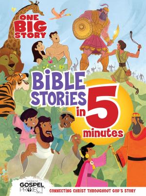 Cover of the book One Big Story Bible Stories in 5 Minutes by 