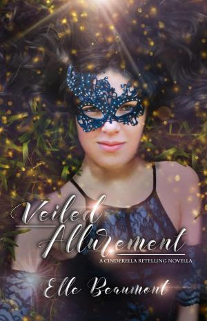 Cover of the book Veiled Allurement by Lynda Hilburn