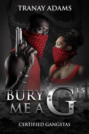 Book cover of Bury Me A G 3.5