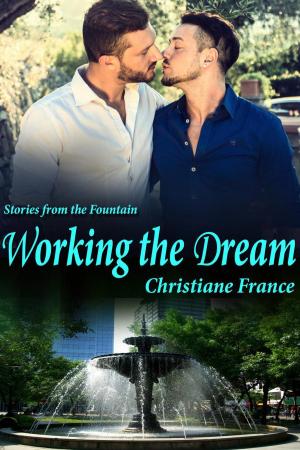 Cover of the book Working the Dream by Chris Van Dyk