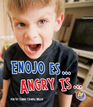 Book cover of Enojo es.../Angry Is...