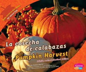 Cover of the book La cosecha de calabazas/Pumpkin Harvest by Steve Brezenoff