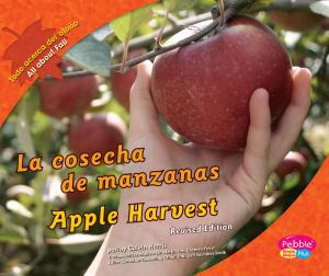 Cover of the book cosecha de manzanas/Apple Harvest by Christopher Harbo