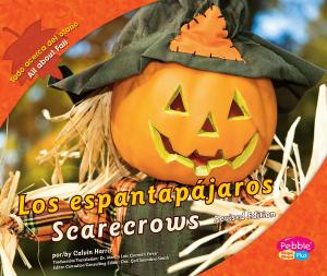 Cover of the book espantapájaros/Scarecrows by Robin S. Doak