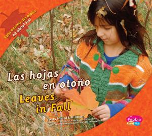 Book cover of Las hojas en otoño/Leaves in Fall